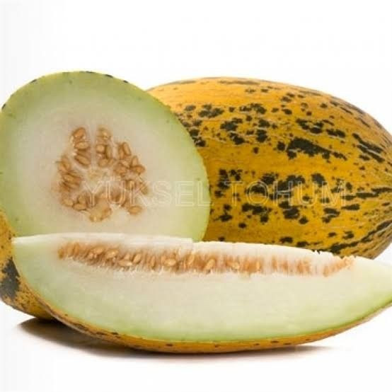 BENEKLİ KAVUN