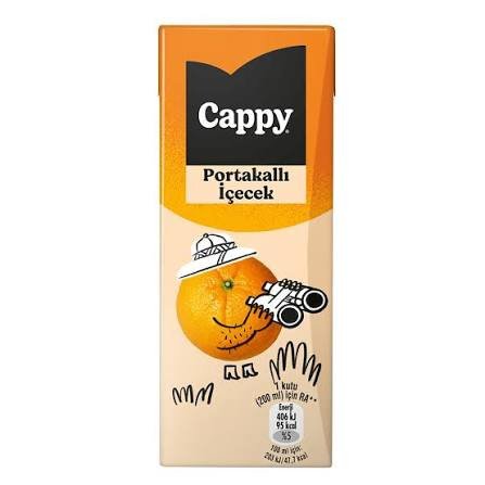 CAPPY PORTAKALLI MEYVE SUYU 200 ML