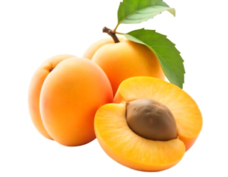 KAYISI
