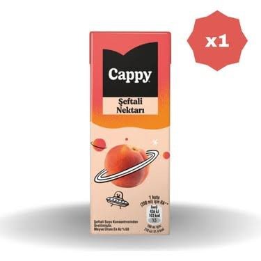 CAPPY ŞEFTALİ AROMALI MEYVE SUYU 200 ML