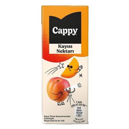 CAPPY KAYISILI MEYVE SUYU 200 ML