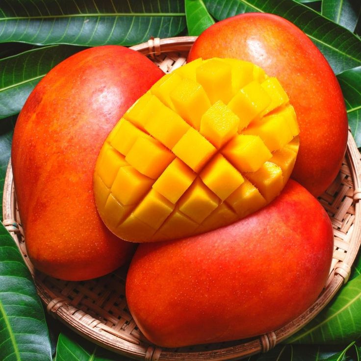 MANGO