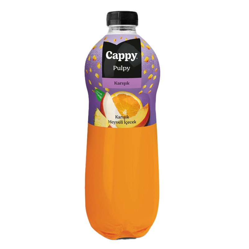 CAPPY KARIŞIK MEYVE SUYU 1 L